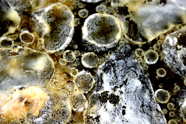 1685612206128946.jpg 油品雜質(zhì)在線檢測(cè)